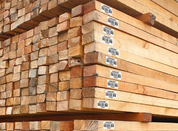 Barcodes for Wood Identification