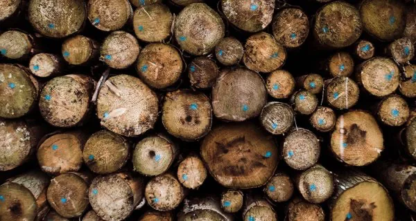 Wood Traceability Demo